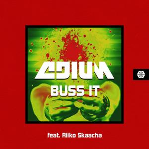 Buss It (feat. Riiko Skaacha)