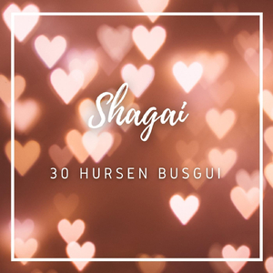 30 Hursen Busgui
