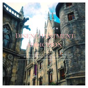 Disenchantment Addiction