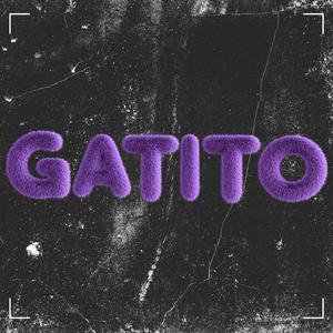 Gatito