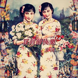 买到的快乐 2.0 伴奏