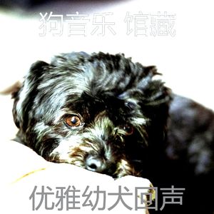 优美训练犬器乐