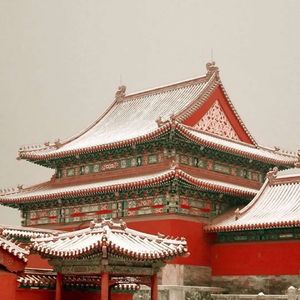 绝对忠诚-宋德刚