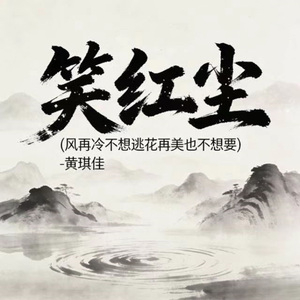 笑红尘 (DJ涵涵版)