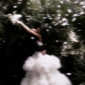 素未谋面却如此相似slow speed