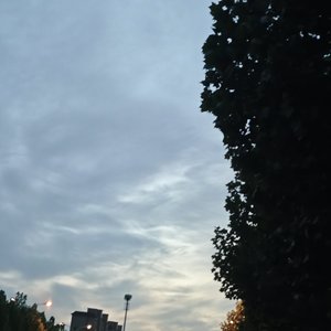 Amazon（硬核律动版）