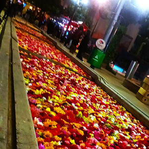 Para Tu Maldita Soledad