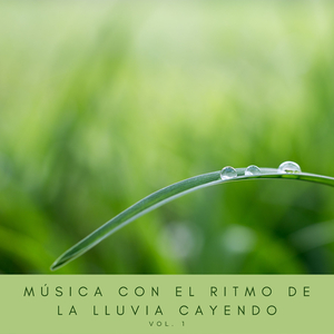 Mística Lluviosa