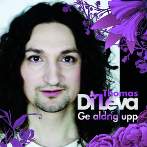 Ge aldrig upp (Instrumental)