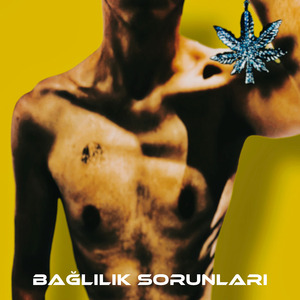 Bağlılık Sorunları