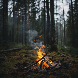 Las Canciones De Cuna Hogareñas Traen Paz A Los Gatos