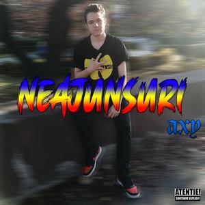 Neajunsuri