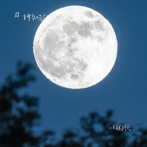一样的月光 (Cover 徐佳莹)
