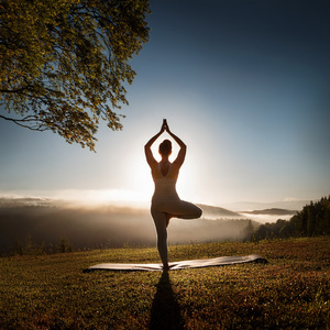 Posturas Tranquilas Encuentran Equilibrio