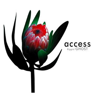 OZONE, IN THE NATIVE