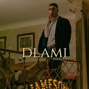 DLAMI