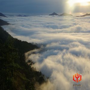 蜕变的旋律（经典小提琴）