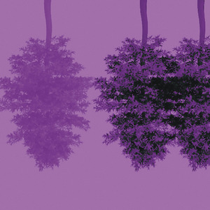 Myth of the Drum. Urban Transformation, Pt. Ia