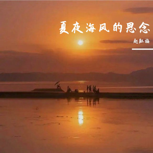 夏夜海风的思念