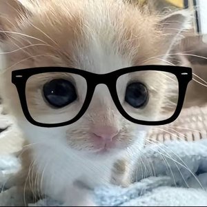 恋爱回忆录(prod.Jeston)