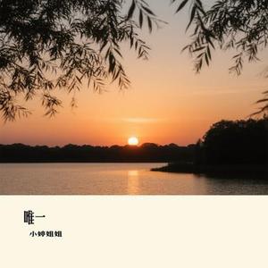 唯一 (Cover G.E.M. 邓紫棋)