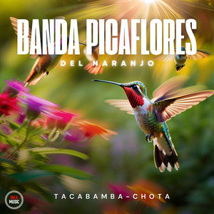 Picaflores del Naranjo