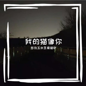 我的猫像你