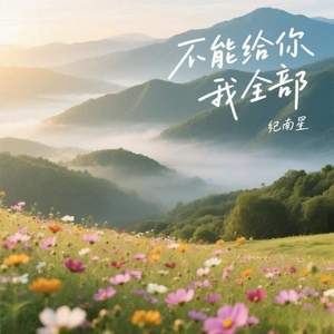 不能给你我全部