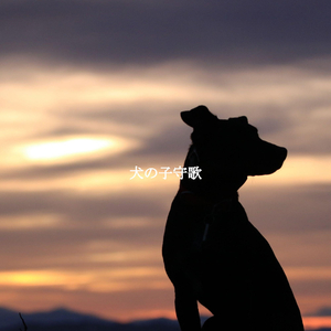 Elegant A Haven of Peace