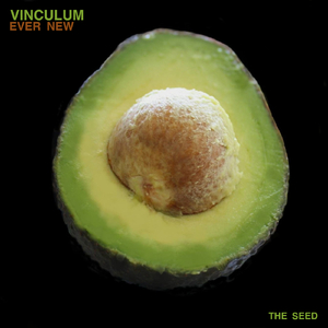 Well (Ross Mt. Park Remix)