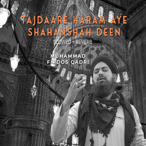 Tajdaare Haram Aye Shahanshah Deen (Lofi-Mix)