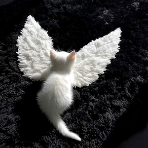 RUDE！（女生完整版）