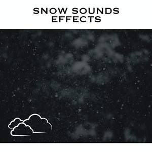 Winter Storms - No Fade
