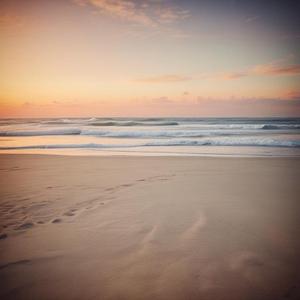 The Shore (feat. Bluey)