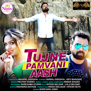 Tujne Pamvani Aash (feat. Vanraj Sisodiya & Arti Bhavsar)