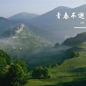 青春不逝