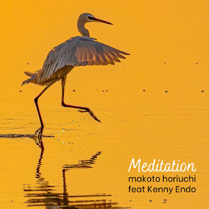 Meditation (feat. Kenny Endo)