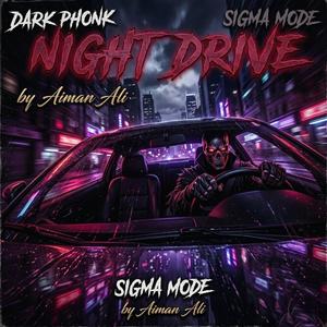 NIGHT DRIVE (Dark Phonk Edition)