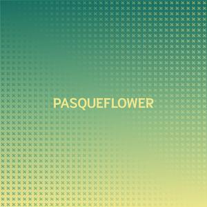 Corrigendum Appliance