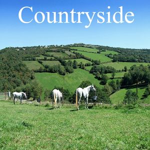 Countryside