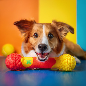 Vibraciones De Cachorro Somnoliento