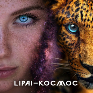 Космос
