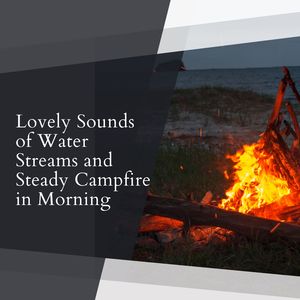 Happy and Steady Campfire