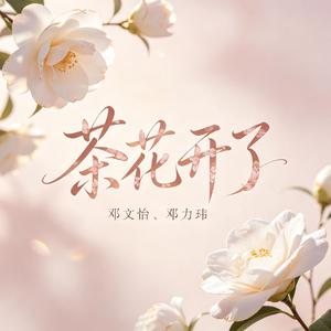 茶花开了