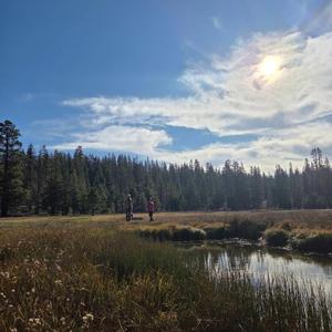 運命の出会い(World Peace Song)