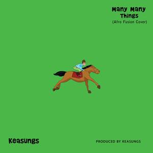 Many Many Things (Afro Fusion Cover)