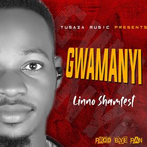Gwamanyi
