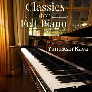 Prelude in E Minor, Op. 28 No. 4 (Soft Felt Piano)