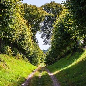 风吹你头上的霜啊