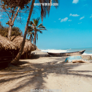 办公事务器乐波萨诺伐舞曲